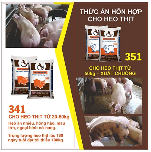 brochure-rico-02.jpg