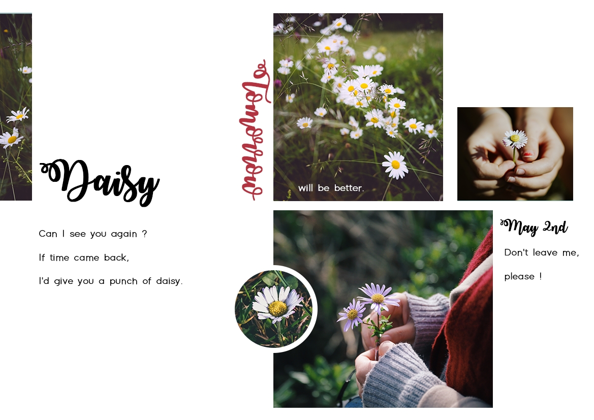 LAYOUT2.png