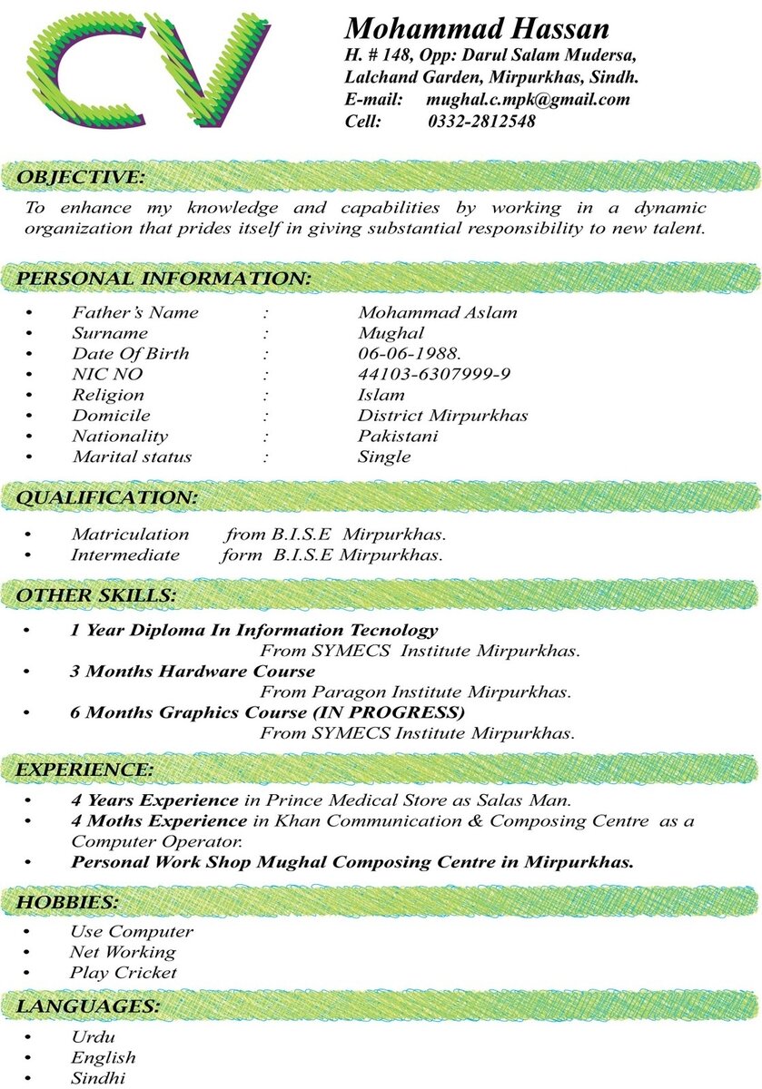 curriculum-vitae-sample-ixhnqtr2.jpg