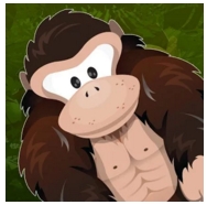 Capture.PNG