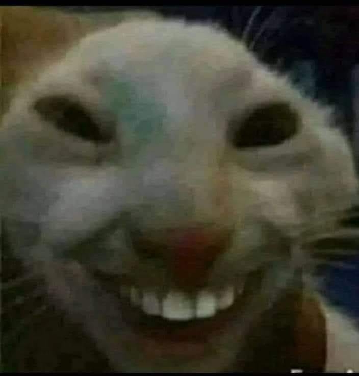 322866888_490185943200660_9126577922018240313_n.jpg