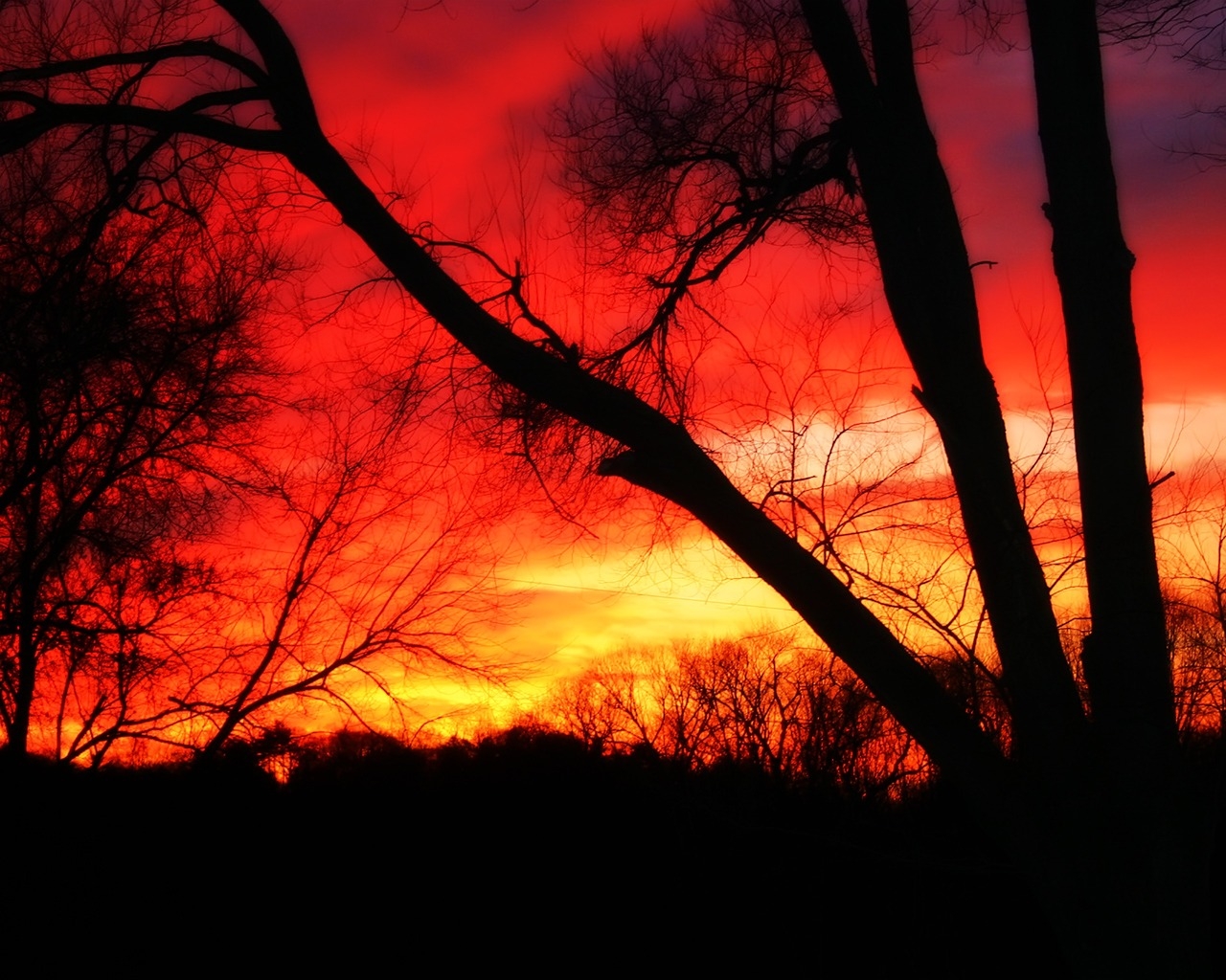 _downloadfiles_wallpapers_1280_1024_red_sunset_wallpaper_landscape_nature_1380.jpg