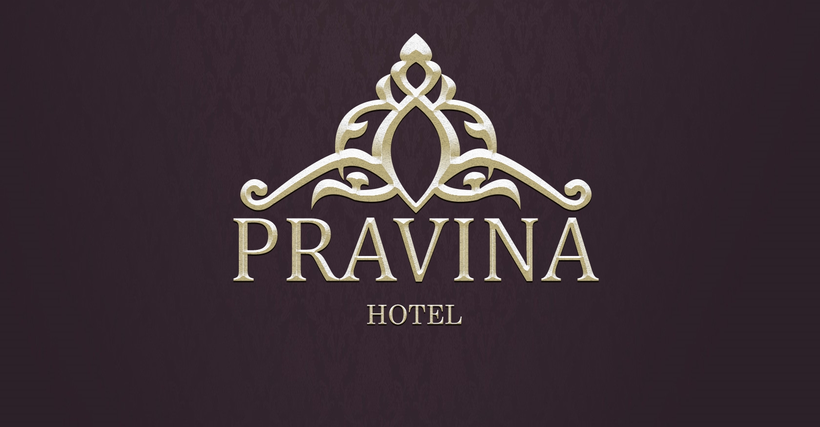 pravina_logo_mid_white_top.png