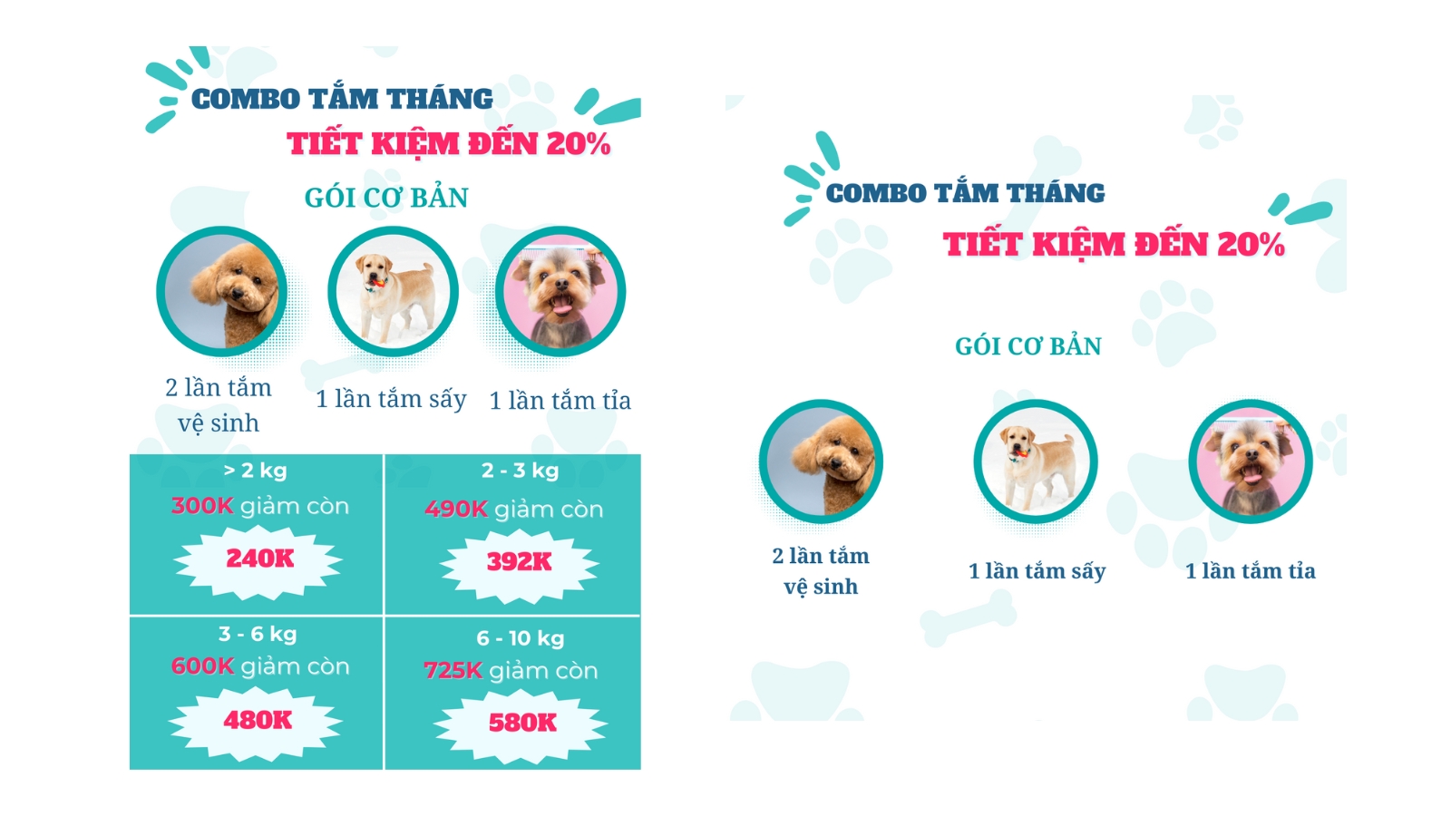 Untitled design (2).png