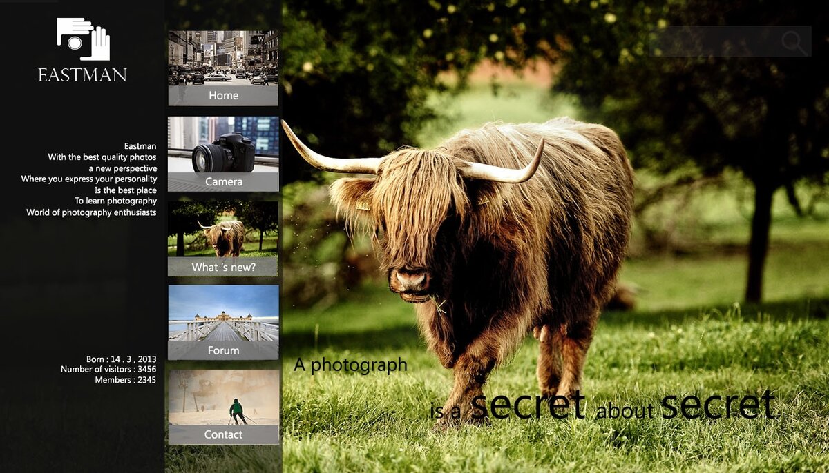 pt.jpg