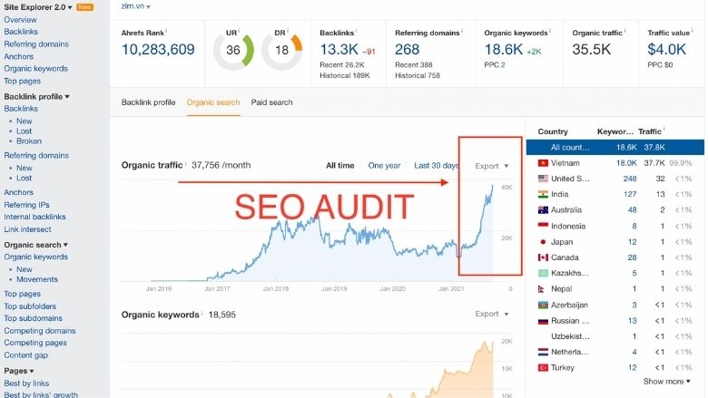 seo audit zim.jpeg