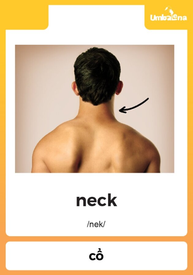 neck-01 (1).jpg