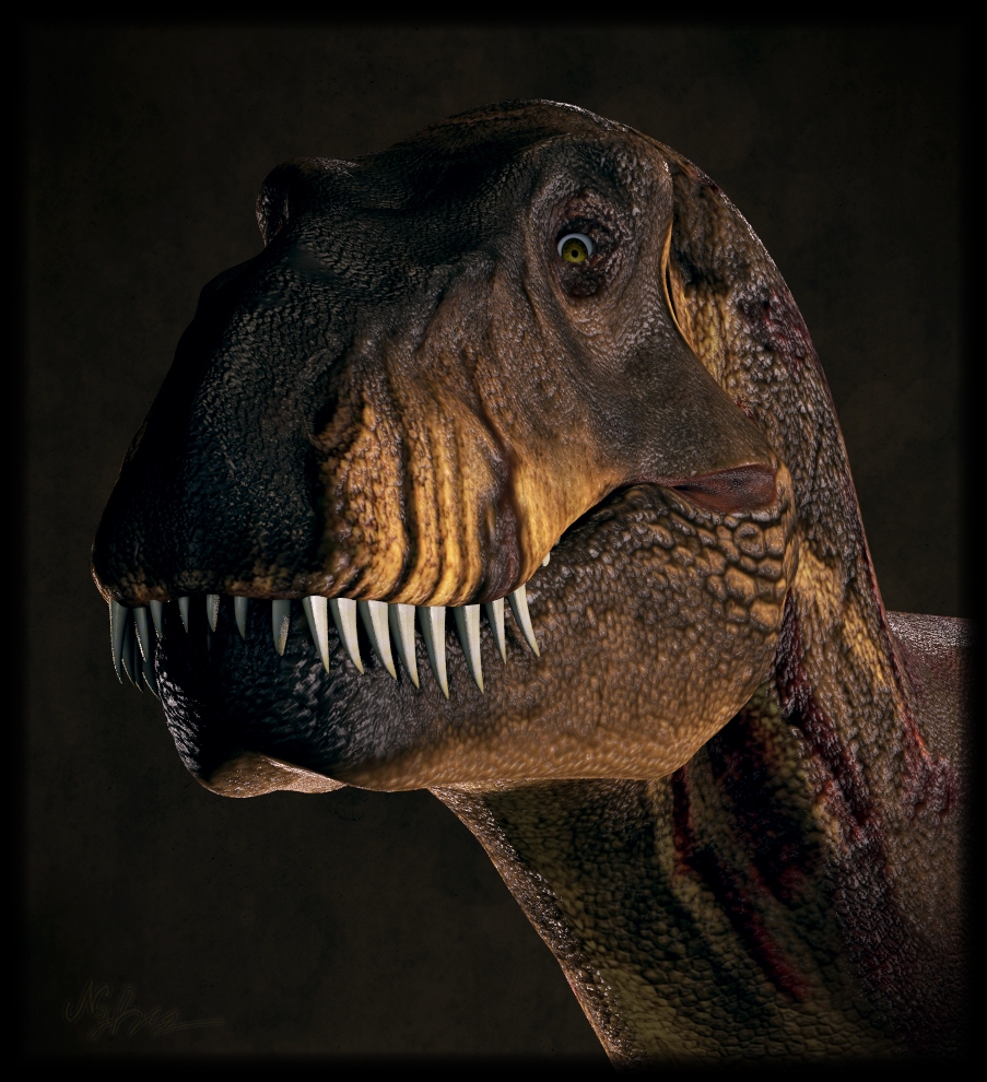 rexy-lights1.jpg