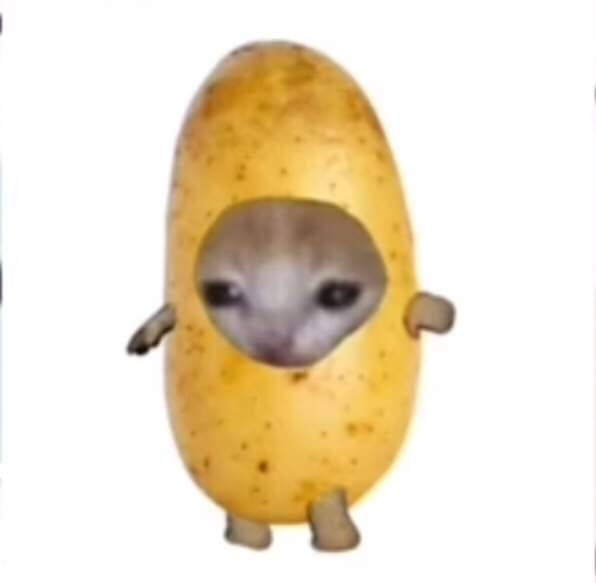 acu.jpg