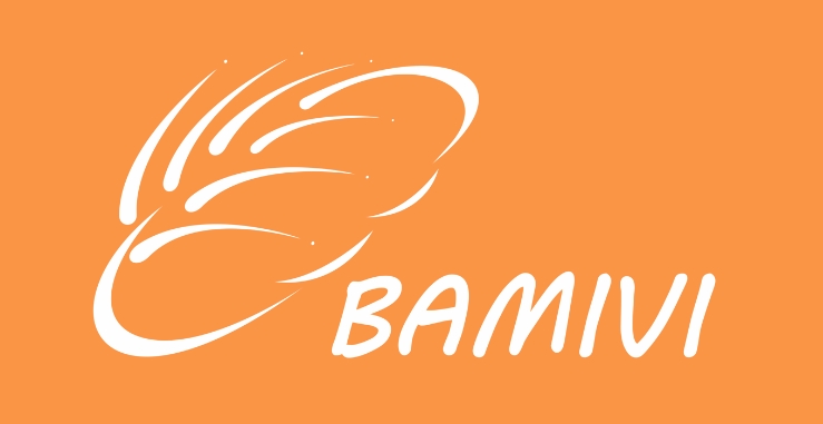 BAMIVI.png