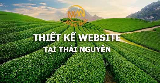 thiet-ke-website-tai-thai-nguyen.png