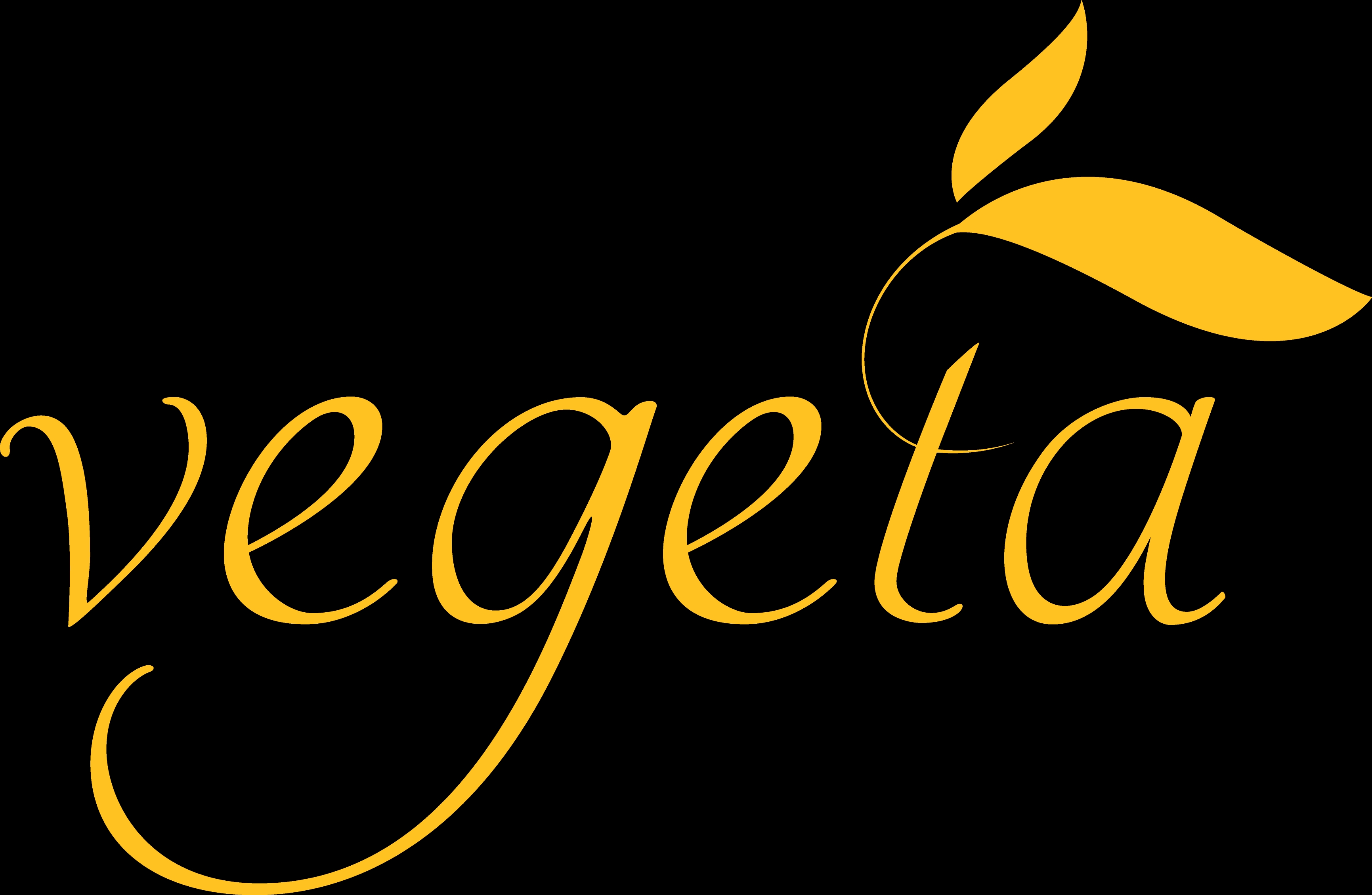 logo va hoavan.png