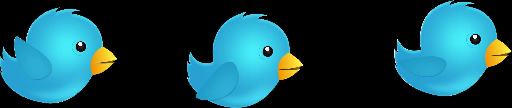 BIRD1.png