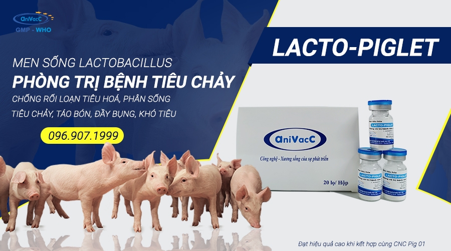 lactopiglet.jpg