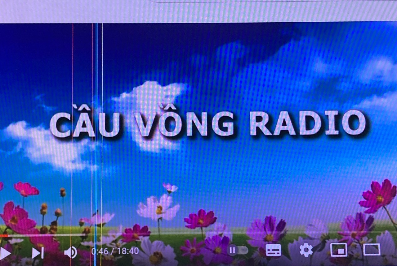 cat CV Radio.jpg