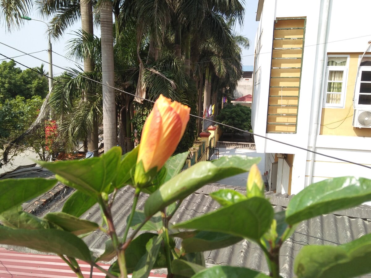 IMG20160206103559.jpg