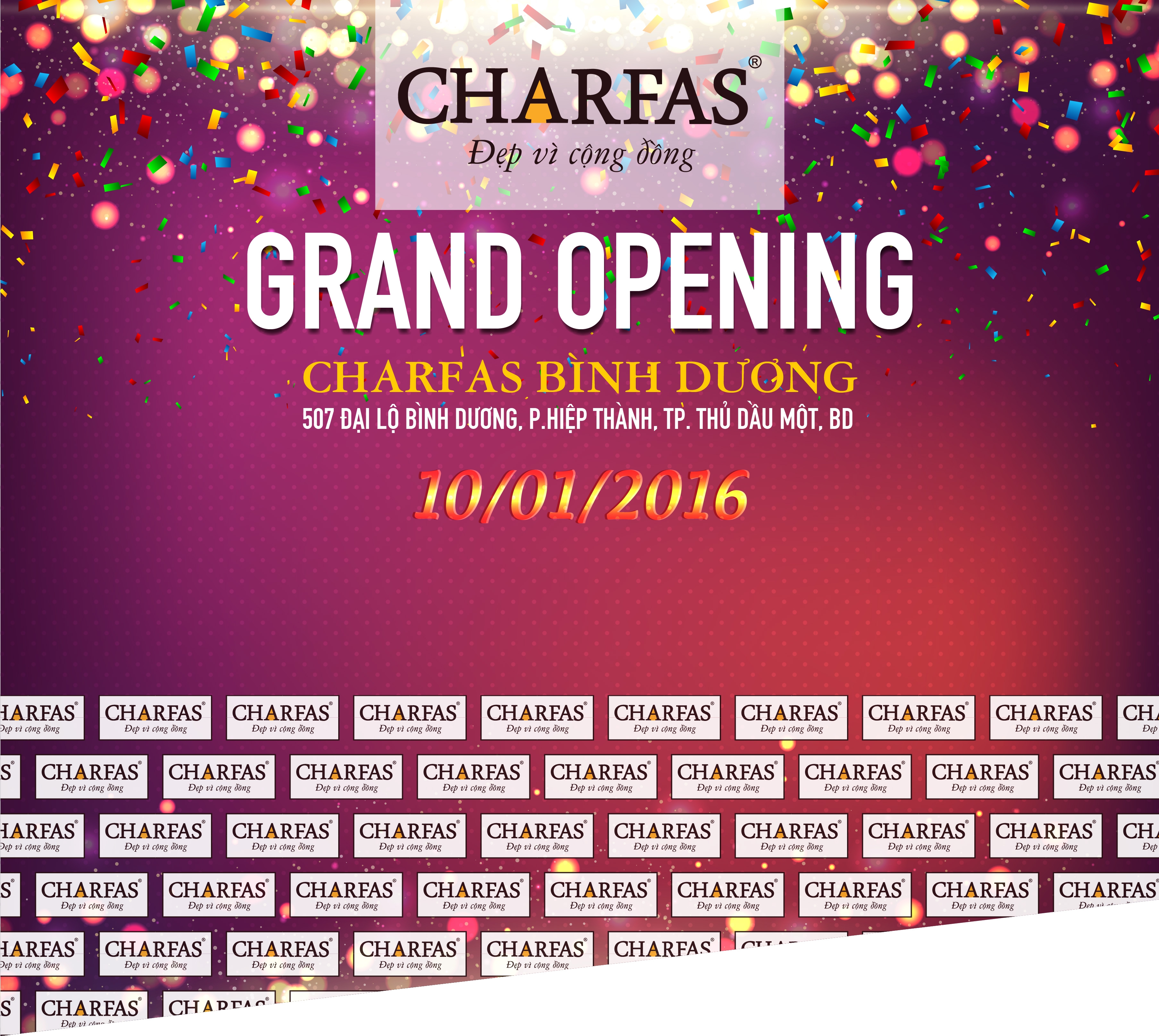 Charfas Binh Duong_Backdrop KT T12016-01.jpg