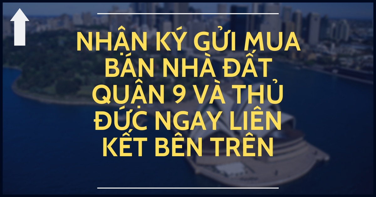 chèn li&ecirc;n k&ecirc;́t ký gửi.png