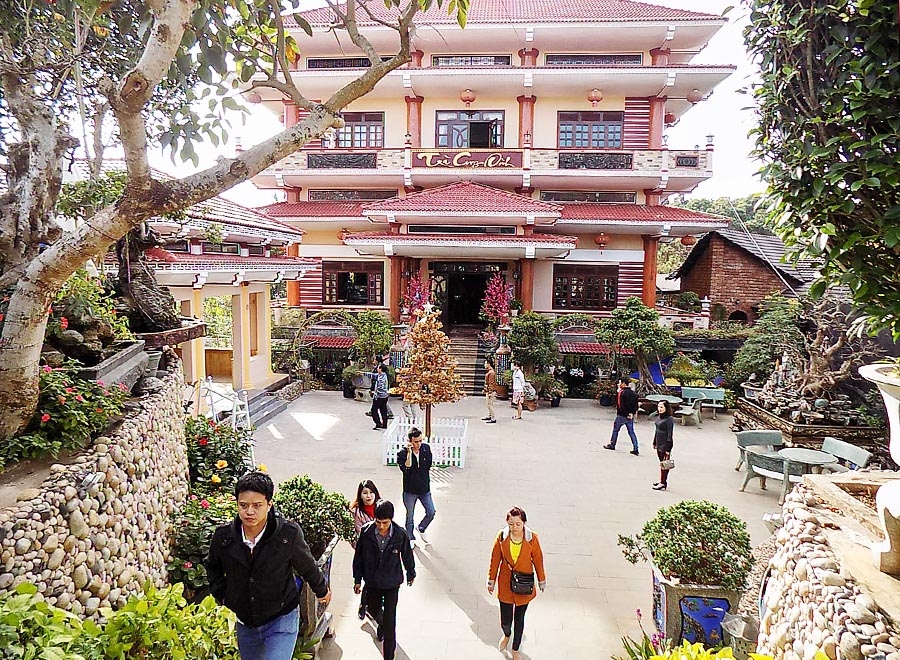 tra cung dinh.jpg