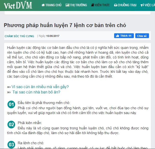 vietdvm-bai-viet.JPG