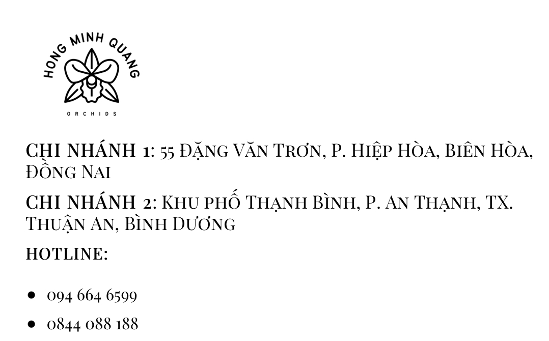 Screenshot 2023-10-19 at 21.29.02.png
