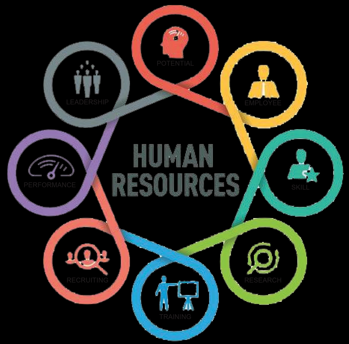 HR logo.png