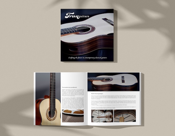 Tranguitar 1.jpg