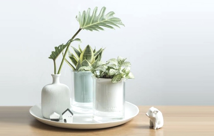 02_goods_02.jpg