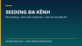 G&oacute;i seeding đa k&ecirc;nh: b&agrave;i seeding + b&igrave;nh luận + triển khai group/diễn đ&agrave;n theo kế hoạch b&agrave;i bản