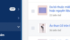 Chuyển đổi dữ liệu từ website wordpress sang haravan