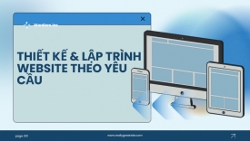 Thiết kế & lập tr&igrave;nh web chuy&ecirc;n nghiệp theo y&ecirc;u cầu